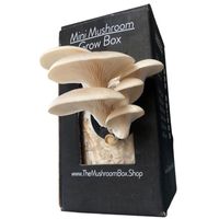 The  Mushroom Box White Oyster Mini Mushroom Box